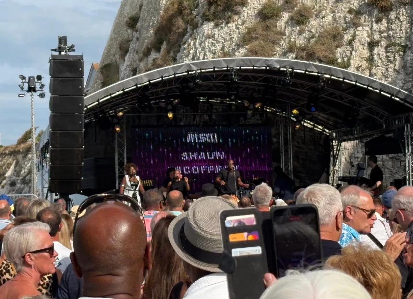 Live outdoor music performance with audience